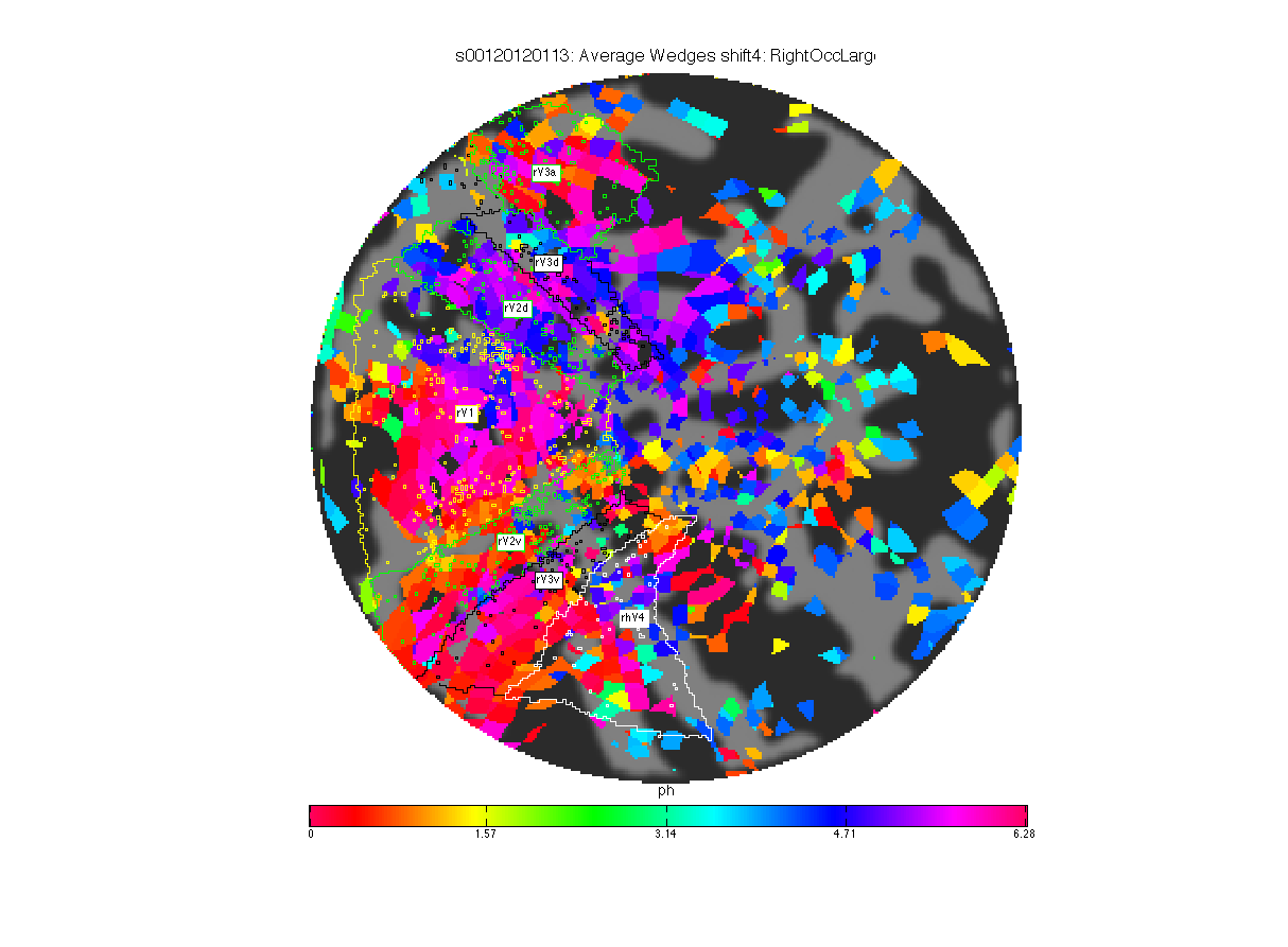 s001correlationrightocclarge.png