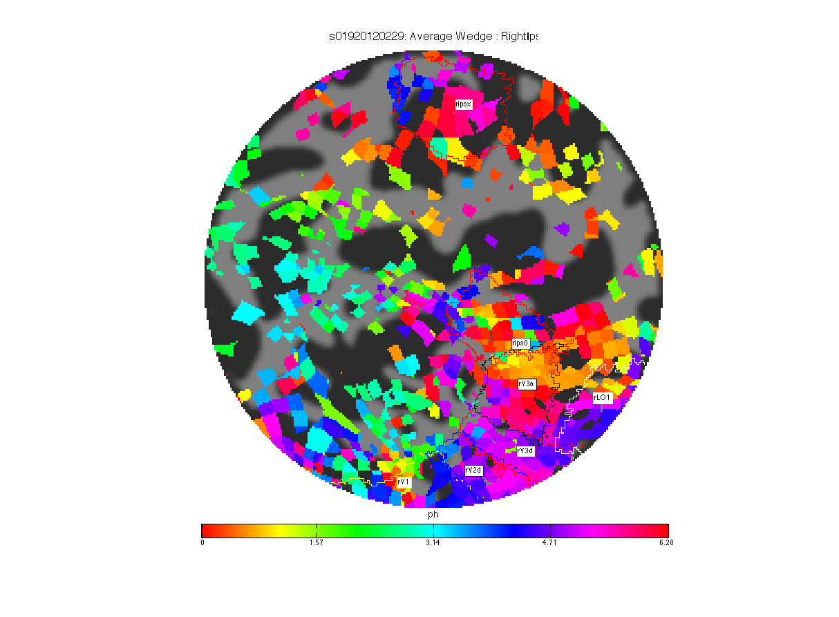 s019correlationrightips.png