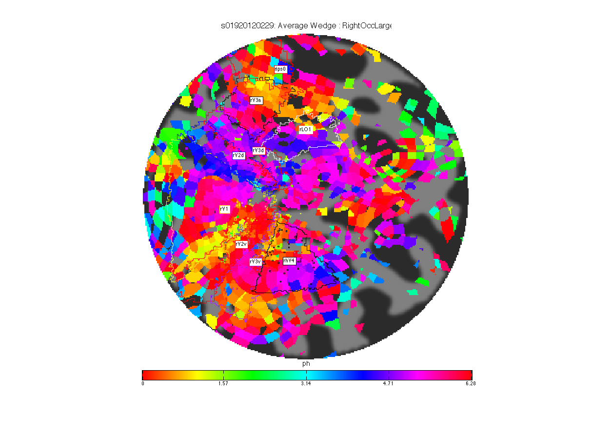 s019correlationrightocclarge.png